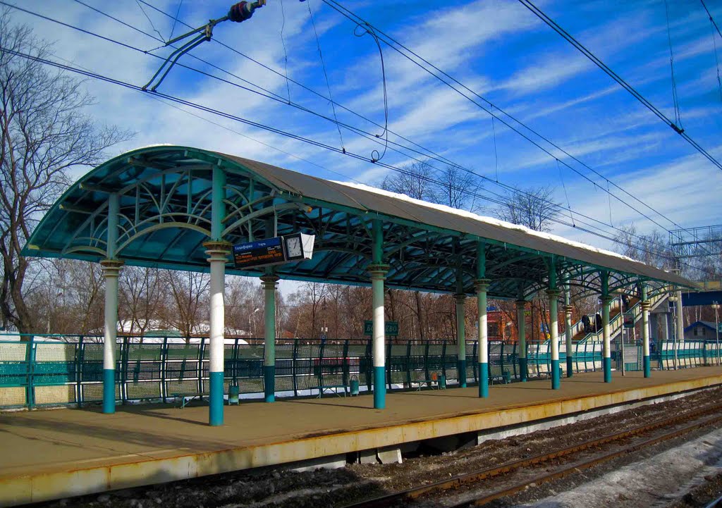 Узкоколейная железная дорога XIX века. Болшево-Торфянка. WAKEUPMEN CLUB Дзен