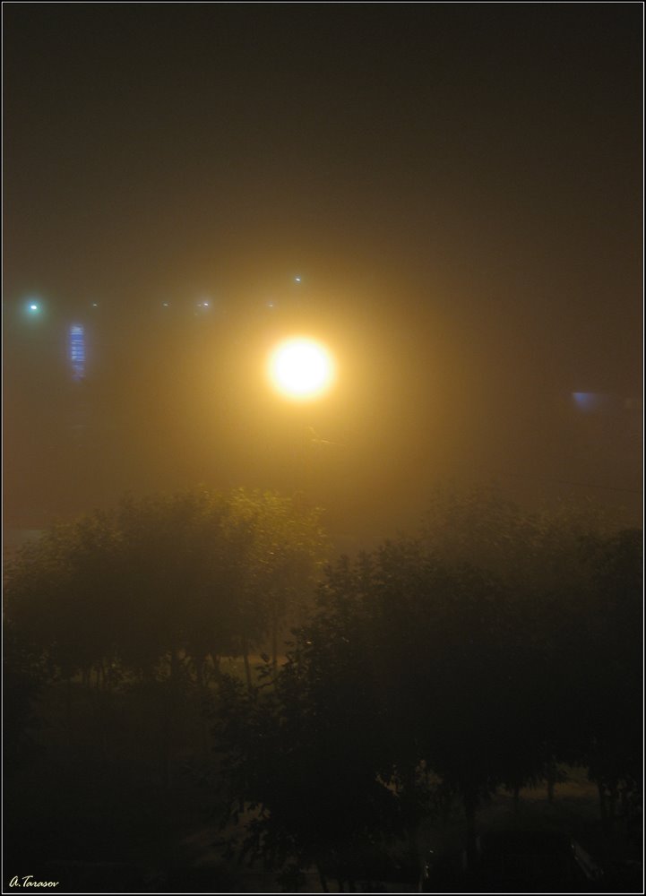 Foggy night, Королев