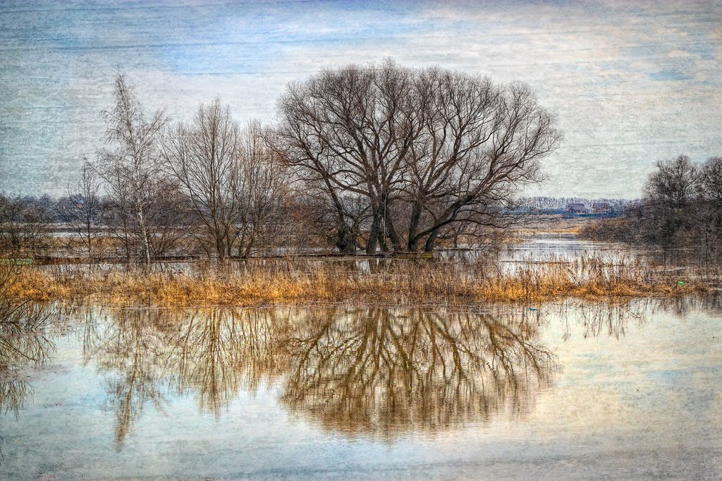 Trees and Protva river, Протвино