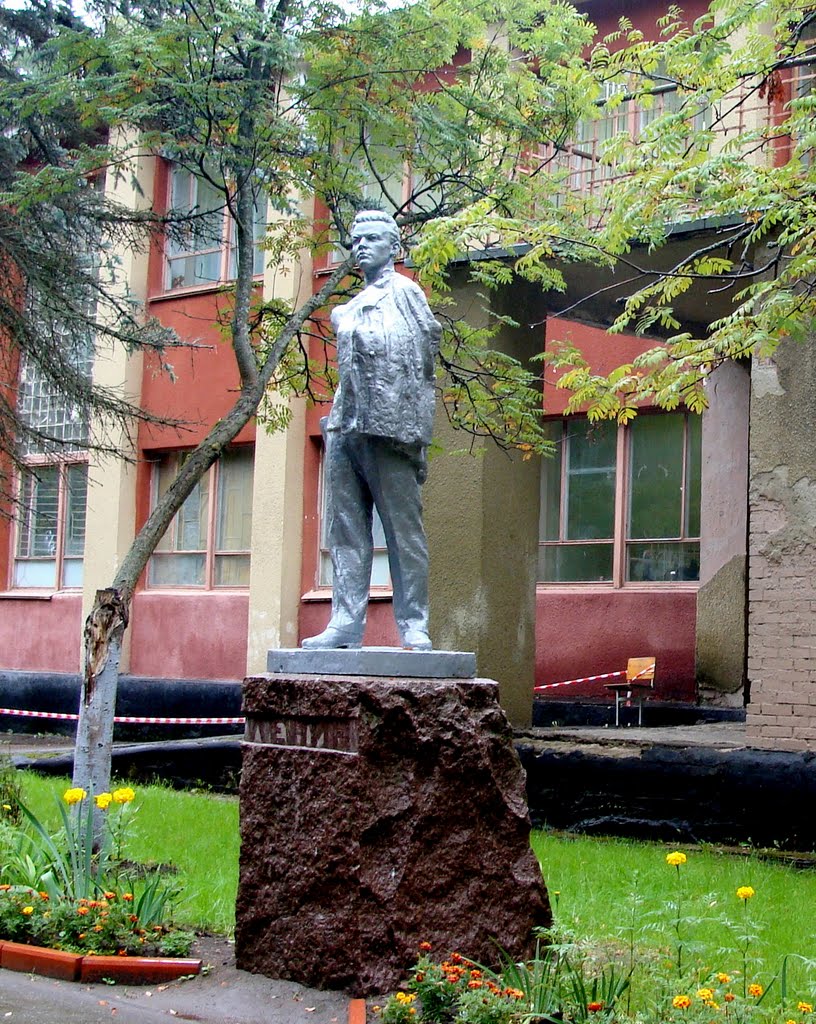 Ленин в Протвино, Протвино