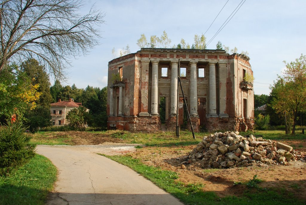 Усадьба Петровское (Княжищево). Общий вид руин с северо-западной стороны., Алабино