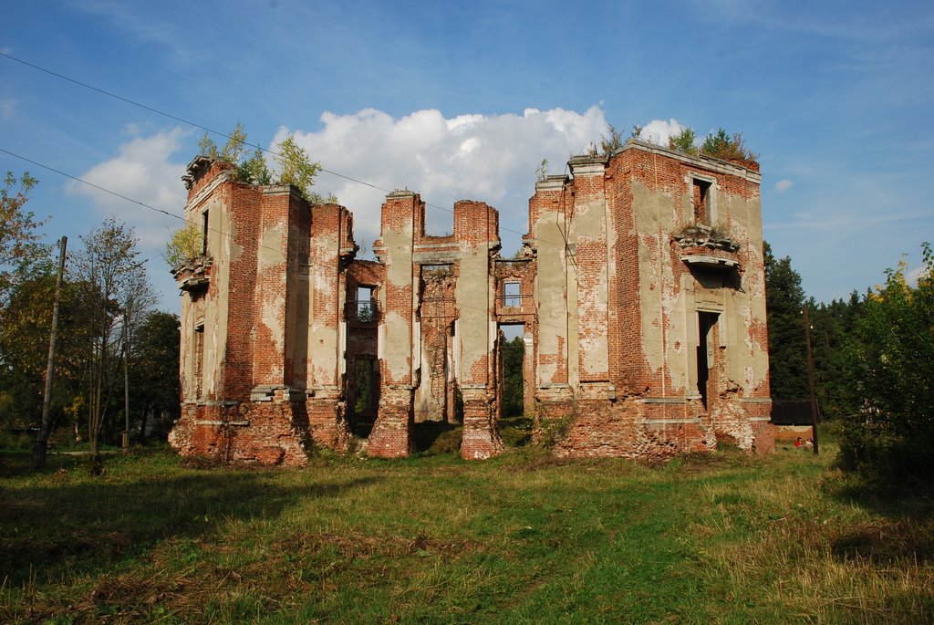 Усадьба Петровское (Княжищево). Руины главного дома, вид с юго-запада., Алабино
