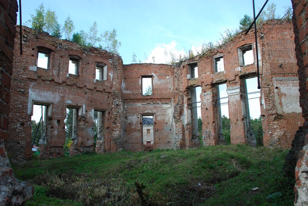 Усадьба Петровское (Княжищево). Руины главного дома, внутренний вид., Алабино