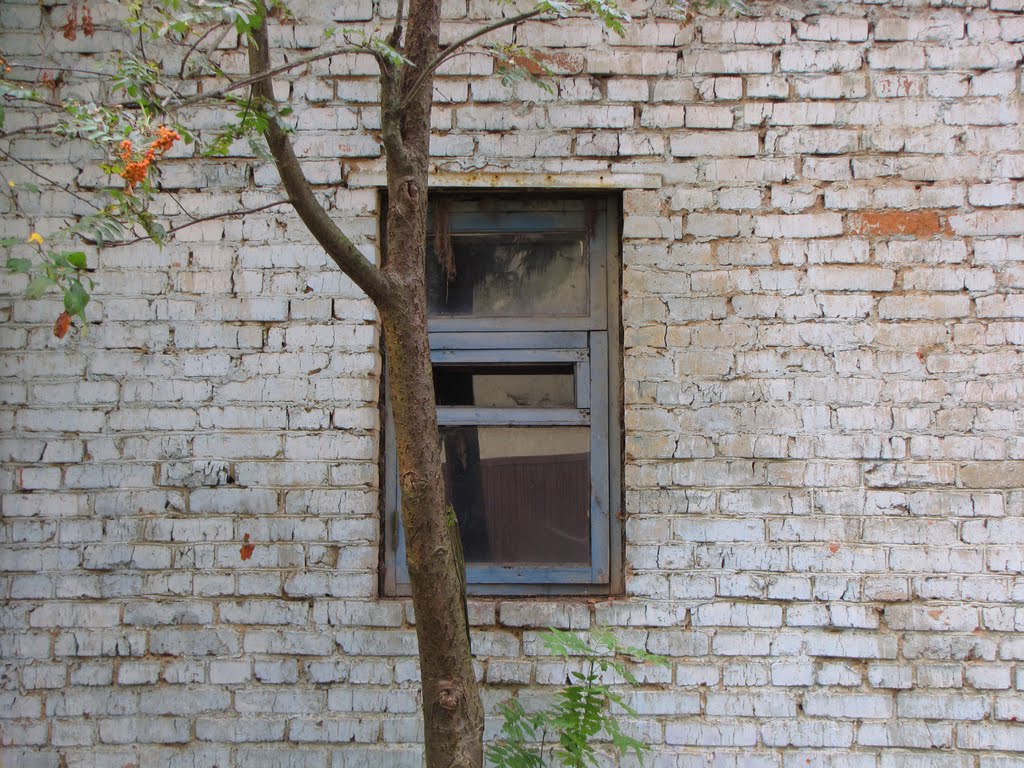 Alabino - Russian Windows, Алабино