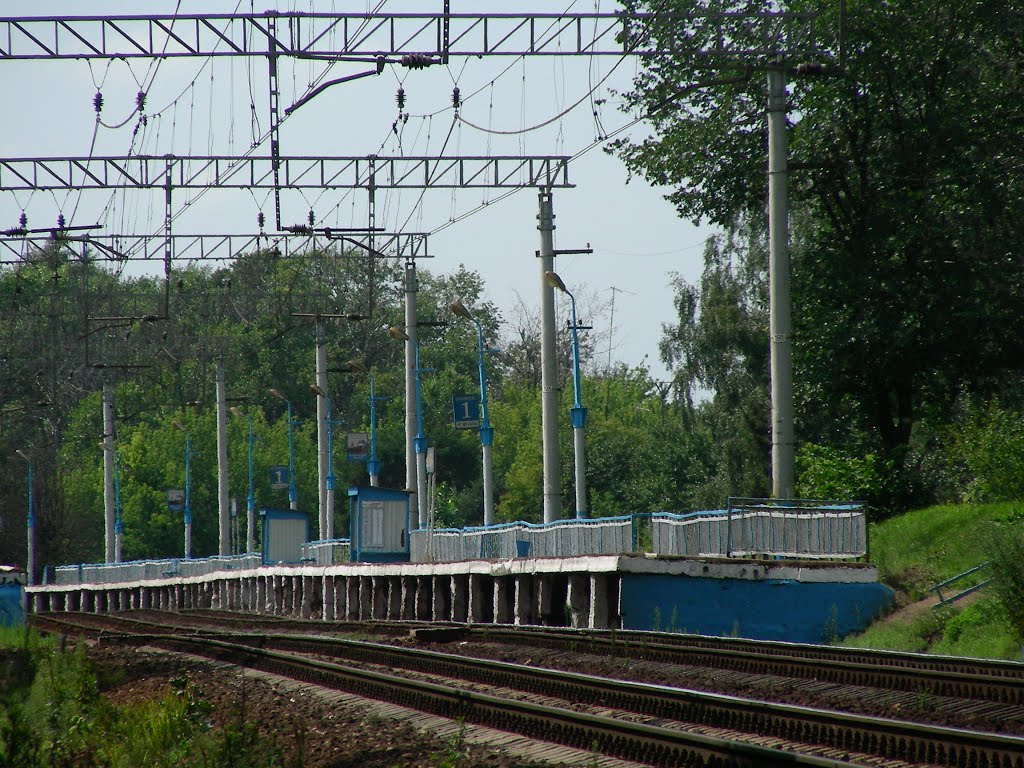 Станция "Алабино", Алабино
