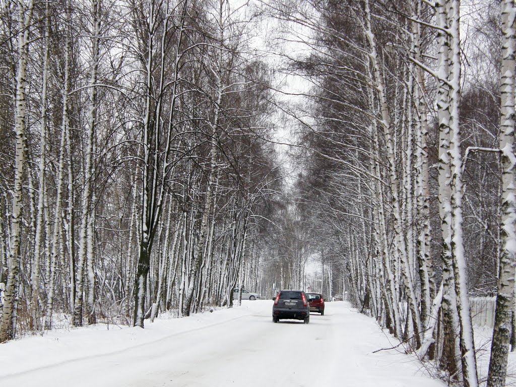 Зима, Апрелевка