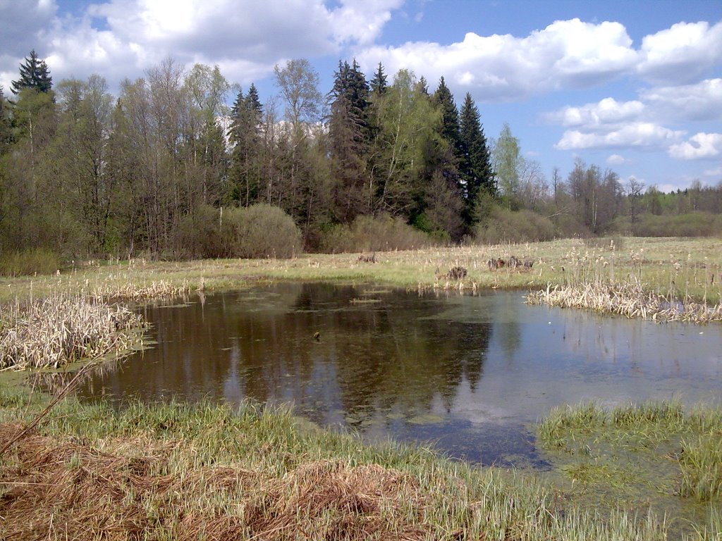 Весенний пруд на поле (pond on the field), Архангельское