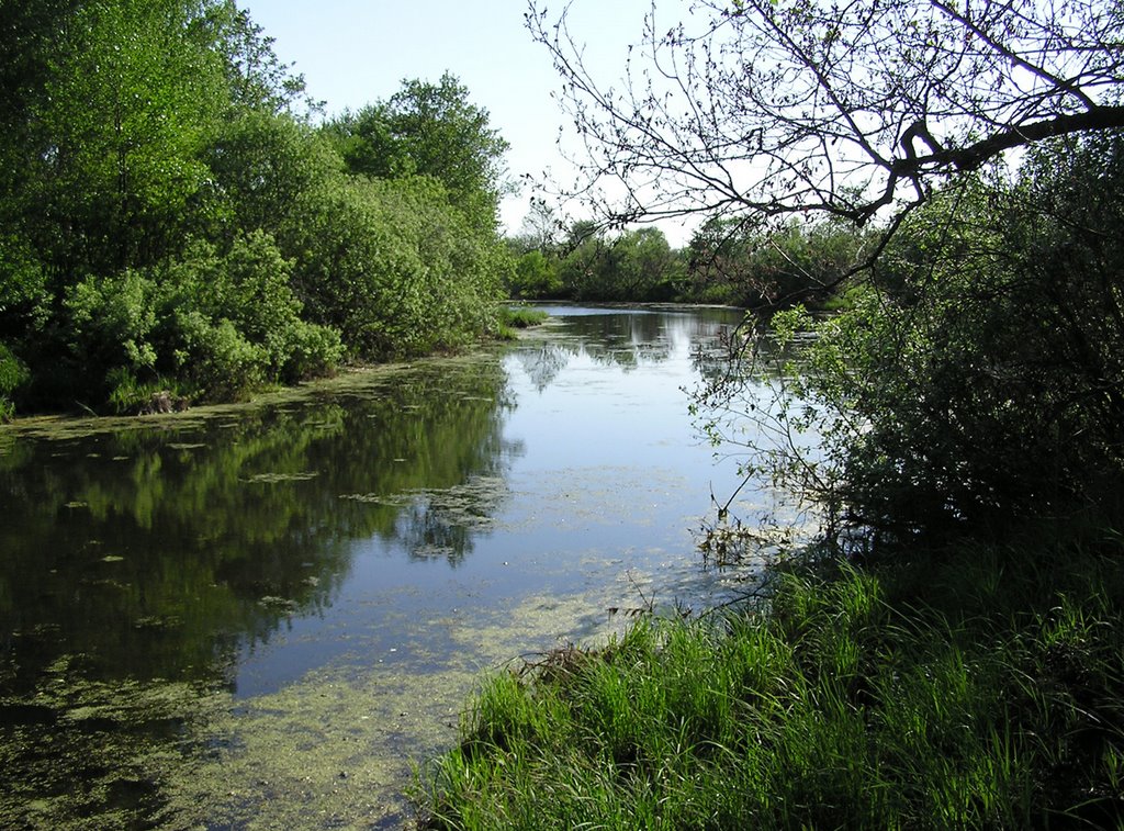 Nerskaya river, Ашитково