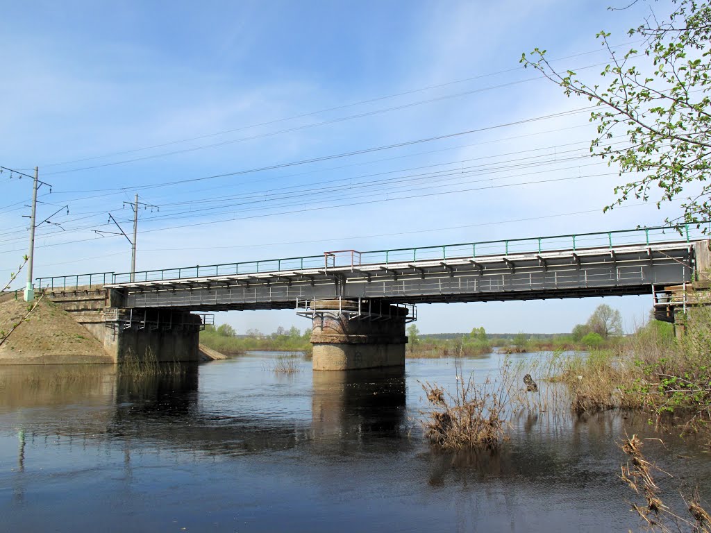 Мост в половодье, Ашитково