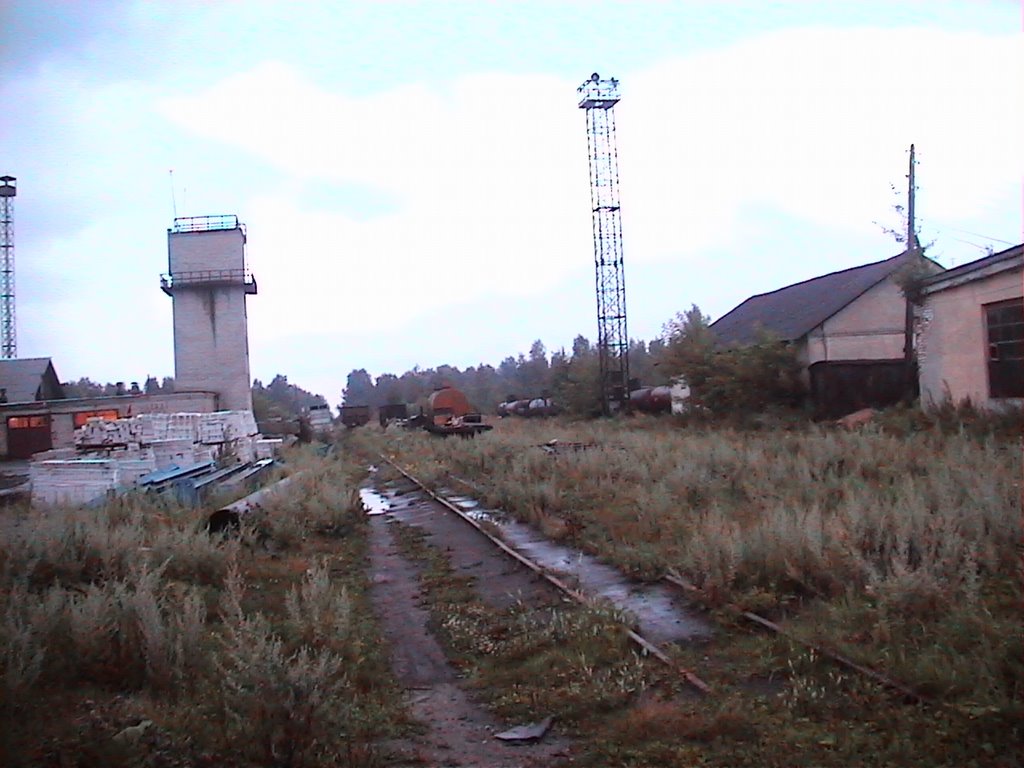 Станция, пути на поля, Бакшеево