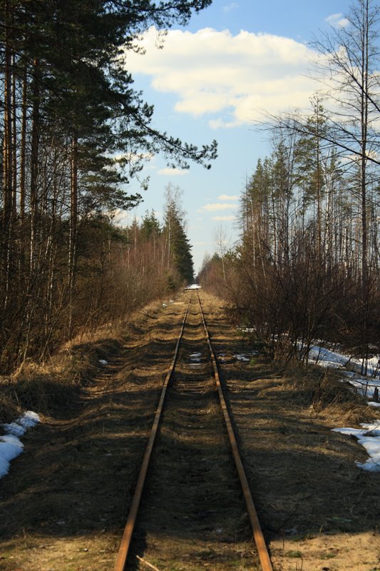 Узкоколейная железная дорога, Бакшеево
