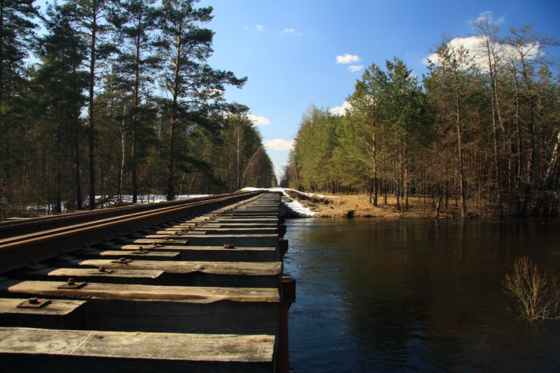 Мост чз реку Воймега, Бакшеево