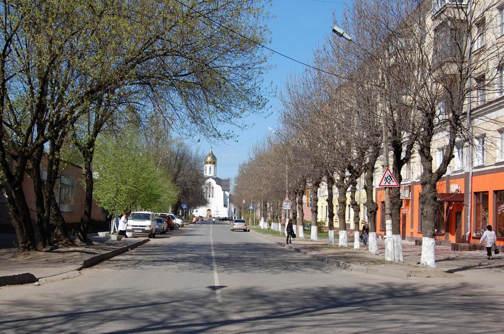 Дорога к Храму (The road to temple), Балашиха
