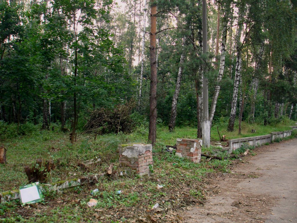 Старый парк моего детства (The old park of my childhood), Балашиха