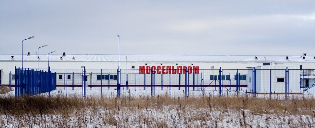 Моссельпром, Белые Столбы