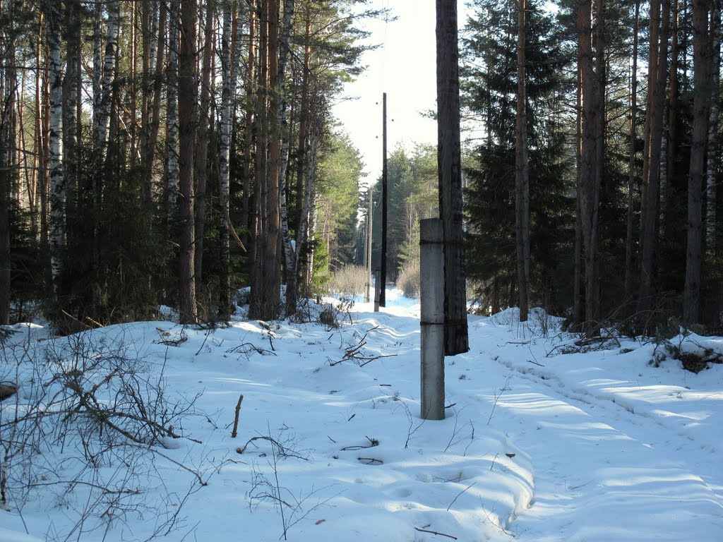 Лес (апрель), Бородино