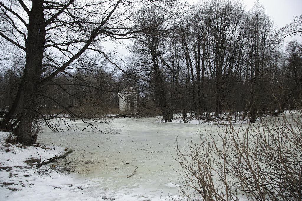 пруд в парке, Быково