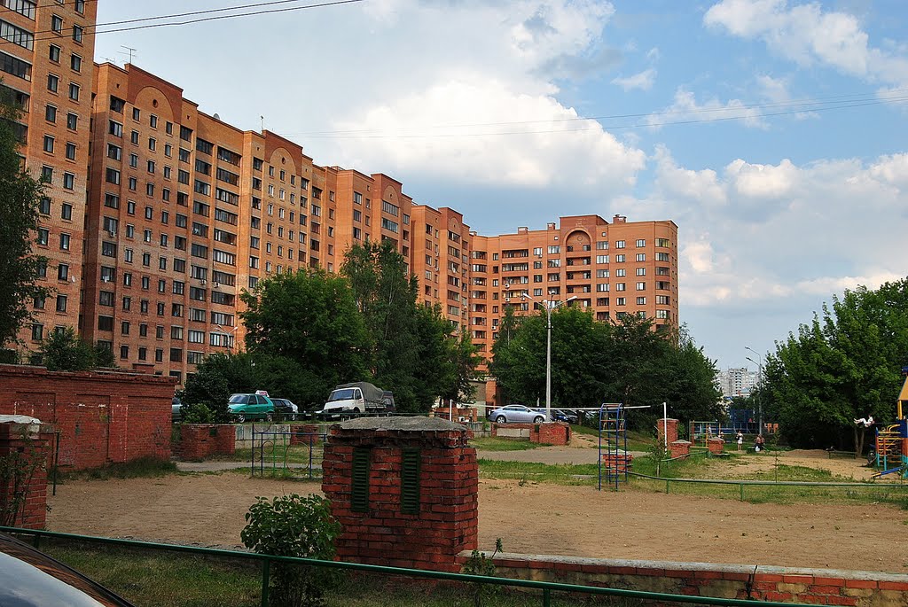 Новый дом в Жуковском, Быково