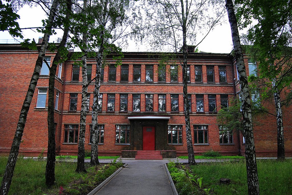 Школа в Быково, Быково