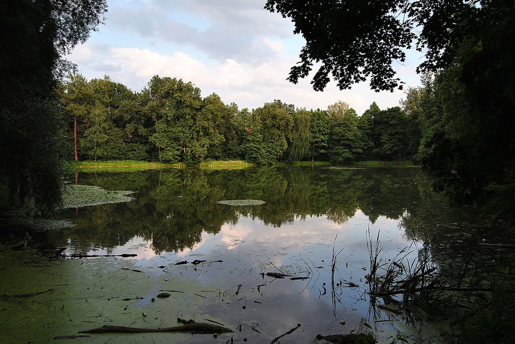 Озеро Быково 2009 г... Из серии "Мои Фото-трофеи разных лет". - фото.