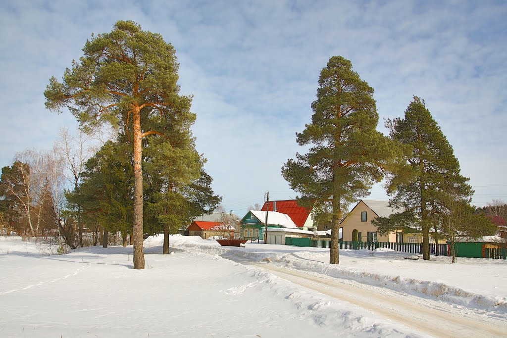 Парк культуры и отдыха пос. Вербилки - "Кто такой Франц Гарднер? Покажу его скул