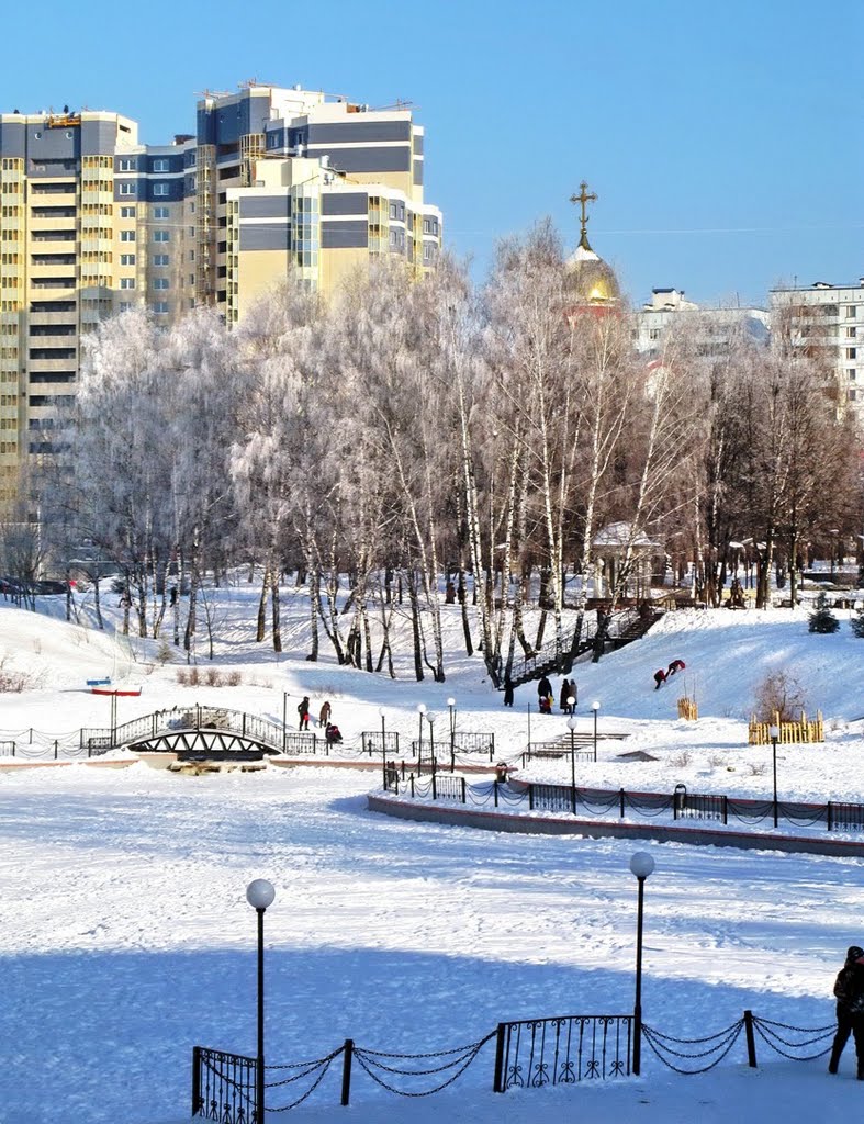Видное, Зима 2010г., Видное