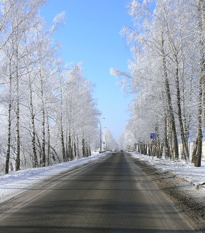 Зимняя дорога, Видное