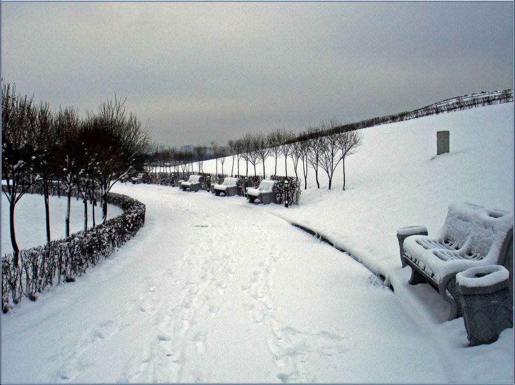 Зимняя послеобеденная прогулка / Winter walk after lunch, Вождь Пролетариата