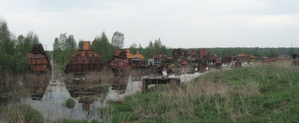 затопленные торфоразработки у Кубринска, Вороново