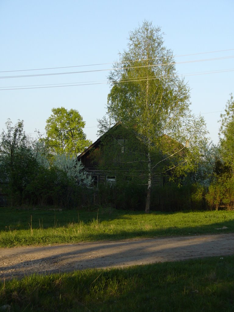 Старый дом, Востряково