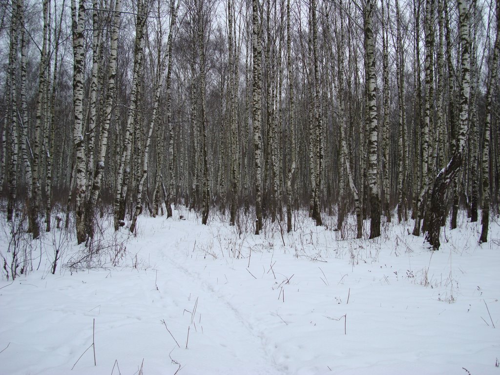 end of January, Востряково
