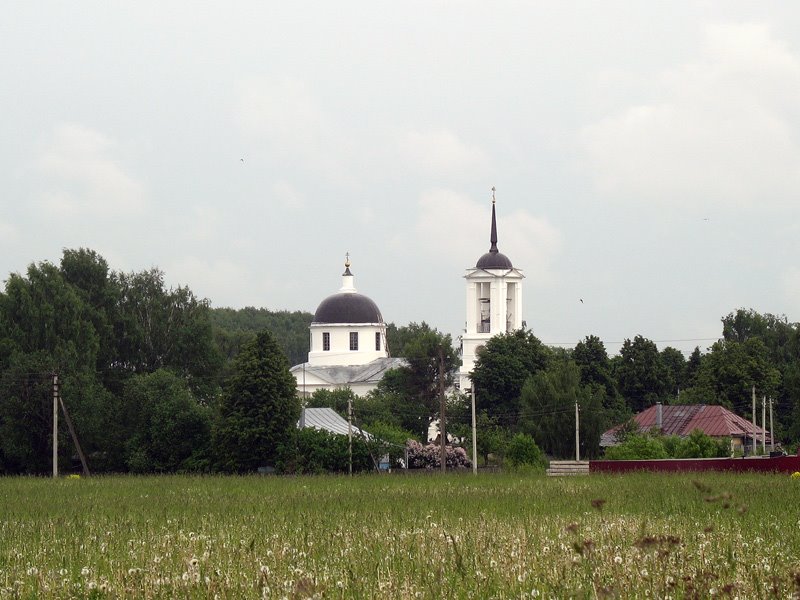 Церковь Покрова Пресвятой Богородицы в Буняково, Востряково