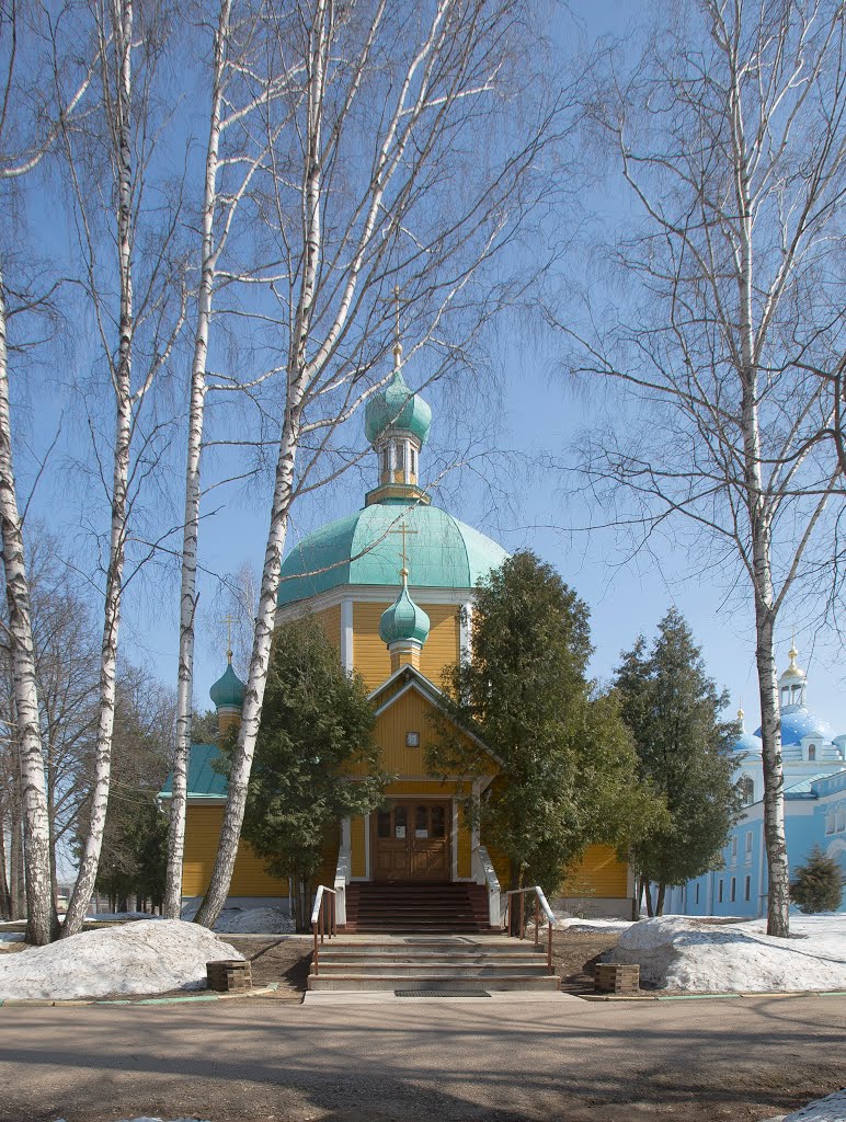 Деденевский Спасо-Влахернский монастырь. Церковь Димитрия Солунского, Деденево