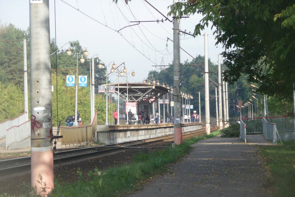платформа "Турист", Деденево