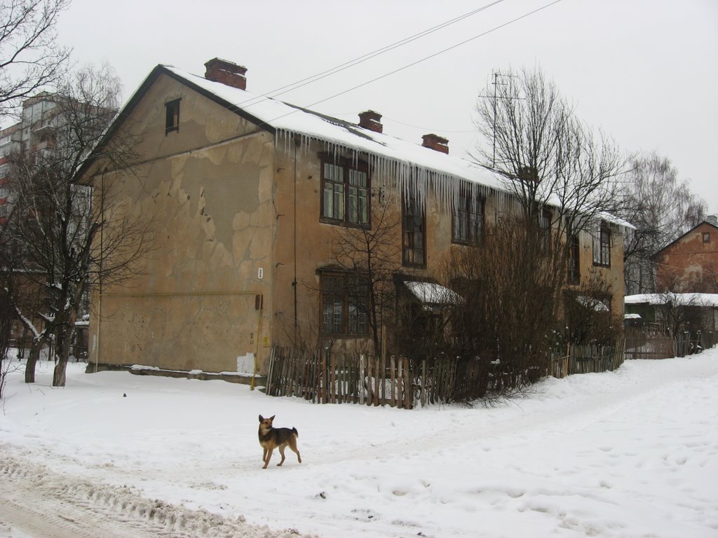 March 2007. Kurochkin street, 8, Дедовск