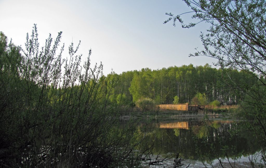 Лесной пруд, Домодедово