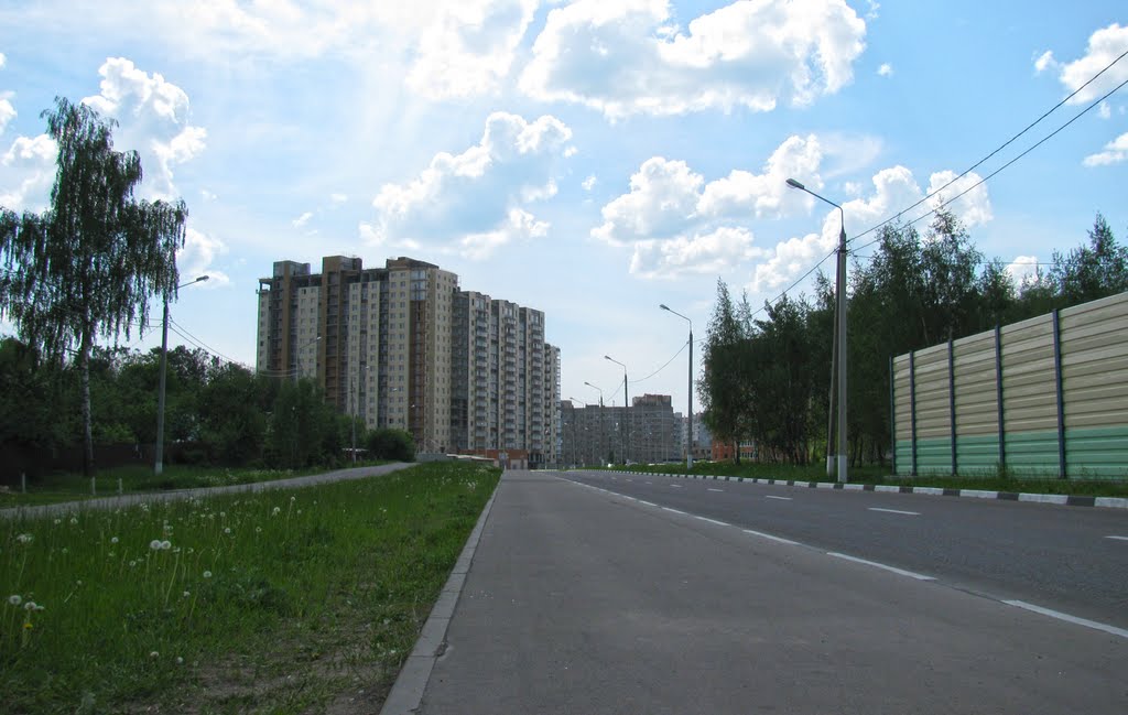 Вид на новостройку,2010, Домодедово