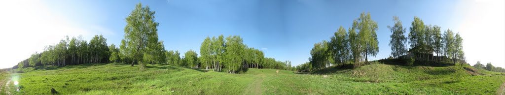 Wood, Panorama (180°), Домодедово