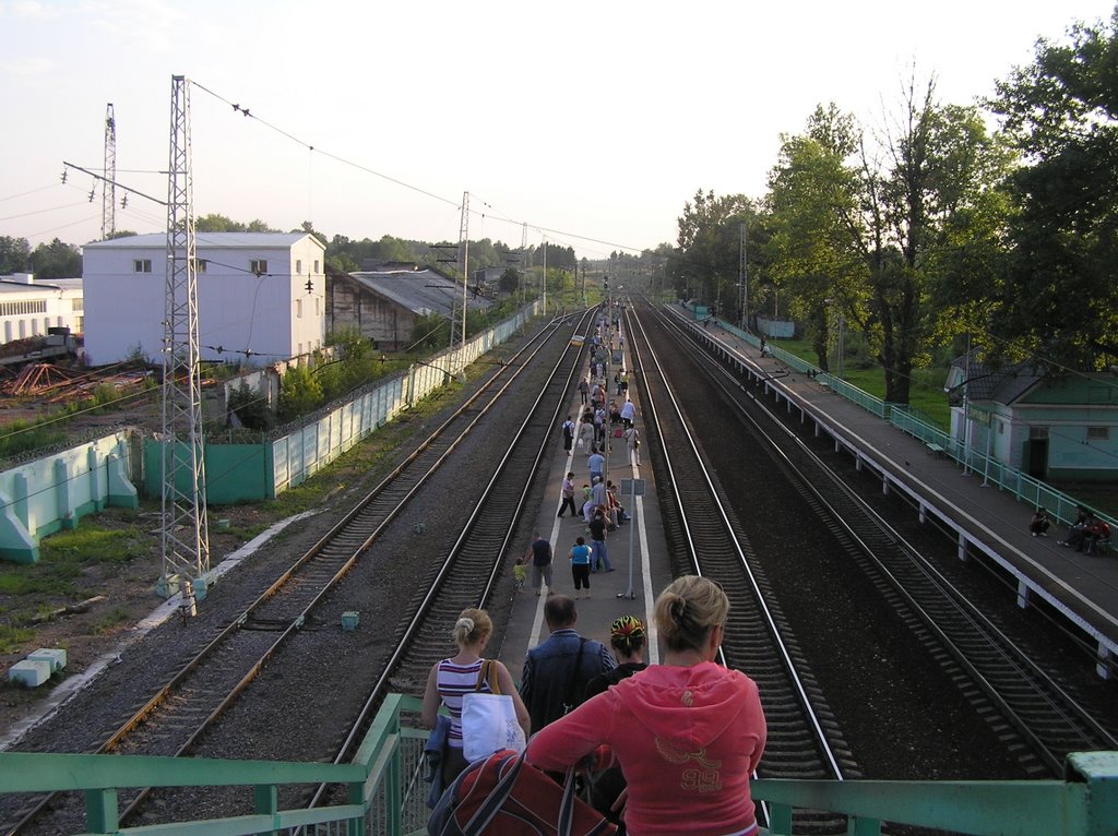 Платформа ж/д станции "Дорохово", Дорохово
