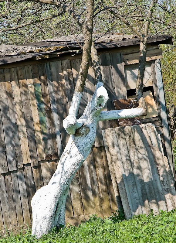 Human-Apple-Tree / Dorokhovo / Russia / 2009, Дорохово