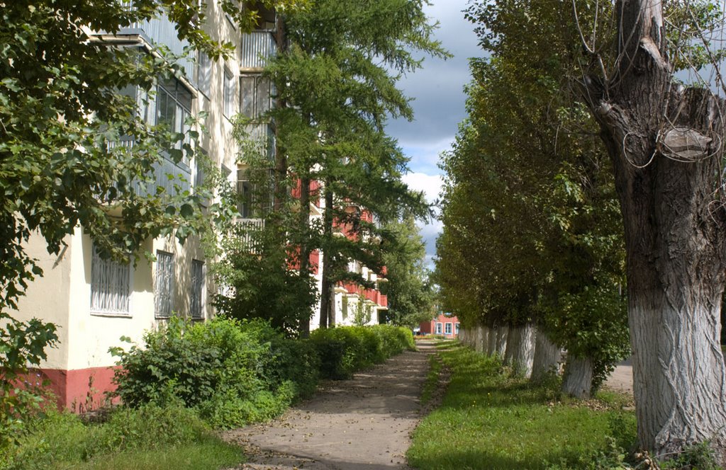 Дрезна московская область фото Дрезна московская область фото