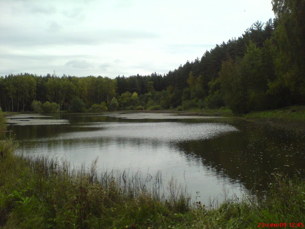 Озеро рядом с Власихой, Дубки