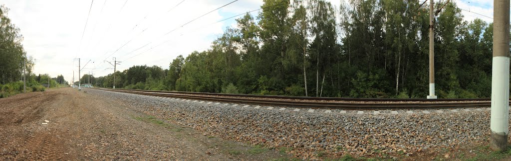 Railway Odintsovo - Golitsino, Дубки
