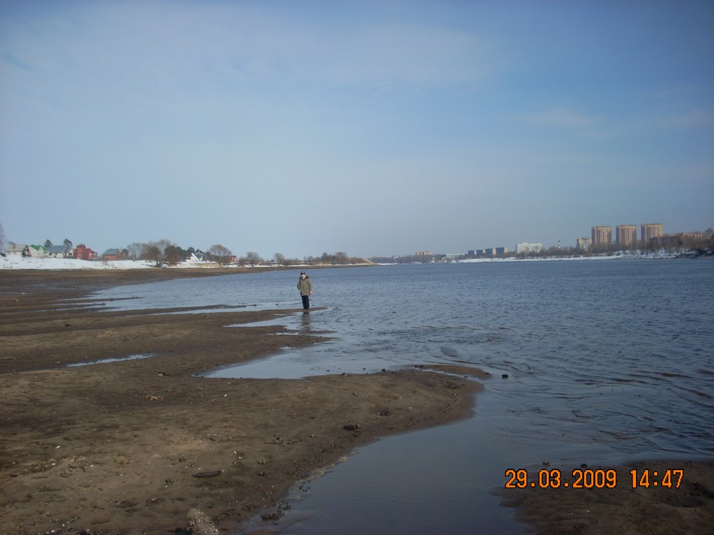 Обмелевшая весной Волга, Дубна