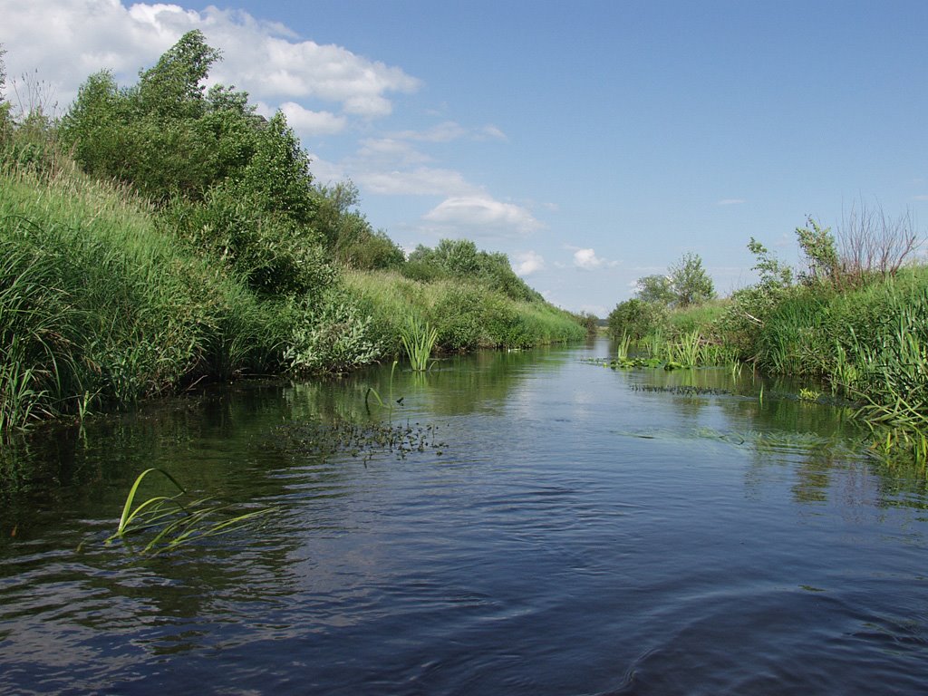 South ditch, Дубна