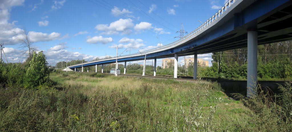 Автомобильный мост около д. Сергеевки, Железнодорожный