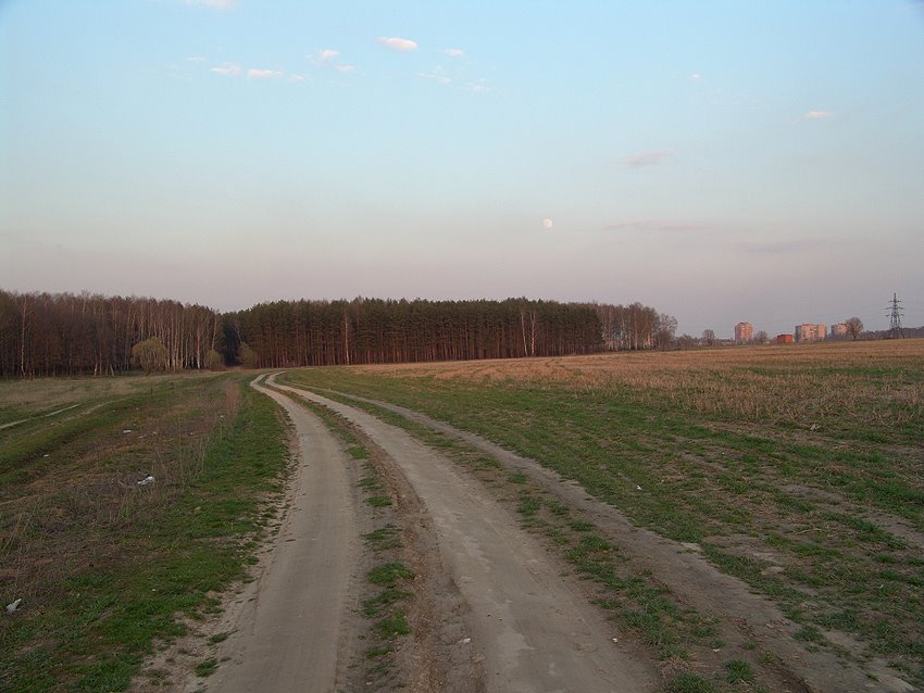 Лес рядом с Климовском. Май 2004 года, Железнодорожный
