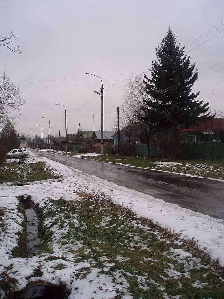 Первомайская улица, Жилево