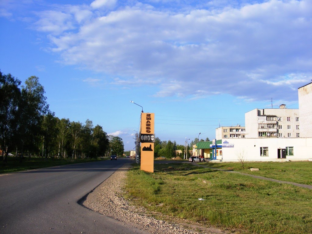 Файл:View from railway bridge zhilevo vlasodmi.jpg - Википедия
