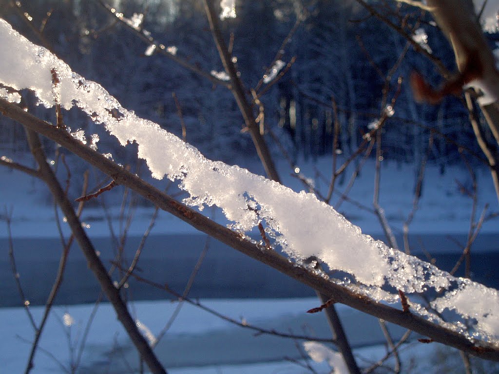 Тающий снег, Жилево